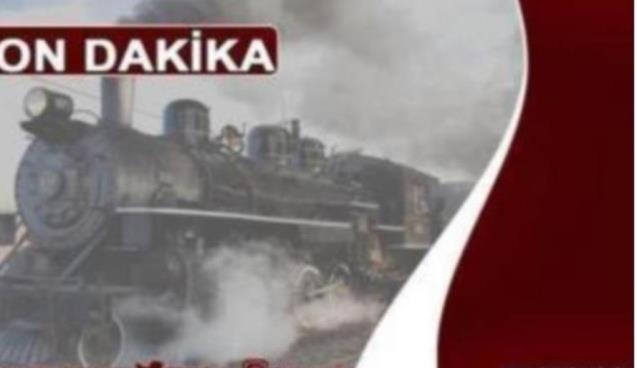 Ağaçtan Düşerek Yaralandı 