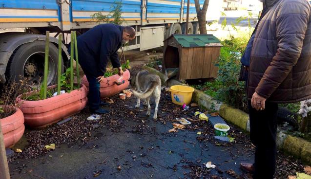 Dostlarımızı unutmuyoruz...