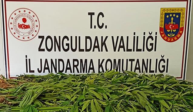 ZONGULDAK JANDARMA EKİPLERİNDEN TOPLAM 31 OPERASYON