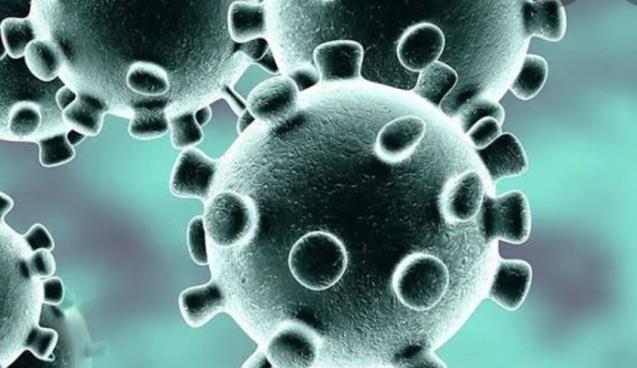 Can Kaybı Sayısı  203 e Çıktı 