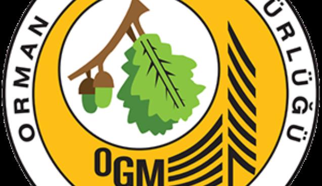 Küle Dönen Orman İçin Basın Açıklaması