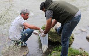Karabük’te balık ölümleri tedirgin etti