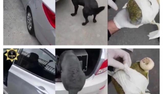 ZULA YUTMAZ’a ödül var!..