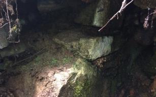 Definecilerin kazısından 1500 yıllık mezar çıktı 