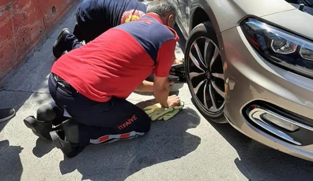 Yarım saat süren çalışma ile kurtarıldı