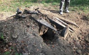 Mezarlıktaki fotokapana çakal ve yavruları takıldı