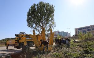‘Sürdürülebilir Yeşil Kampüs’ çalışmaları hız kazandı