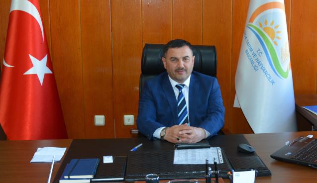 Yüzde 40 Hibeli düve alımı destek başvuruları başladı