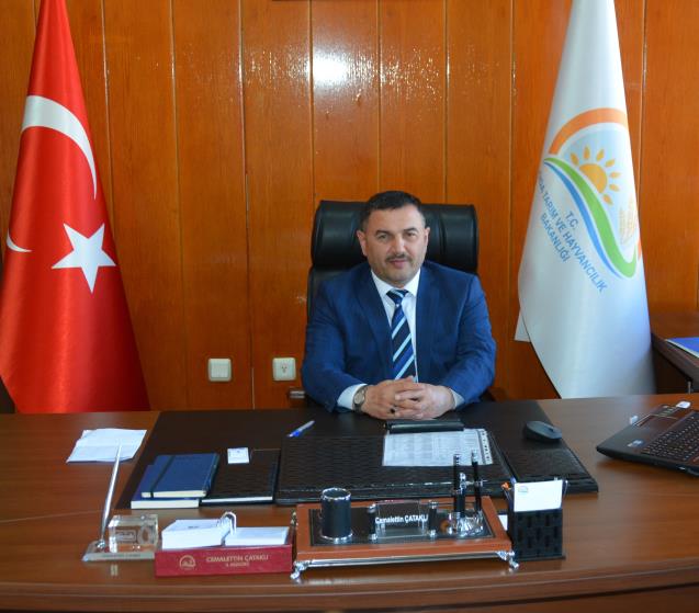 Yüzde 40 Hibeli düve alımı destek başvuruları başladı
