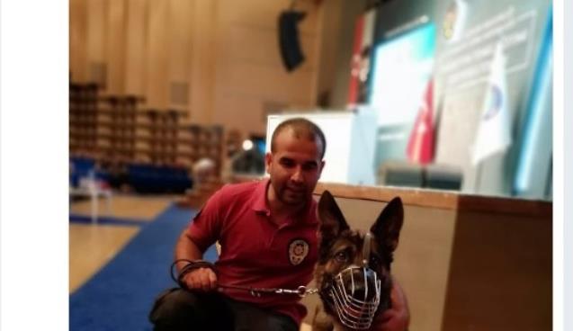 STANO İSTANBUL'DA ÖDÜL ALDI