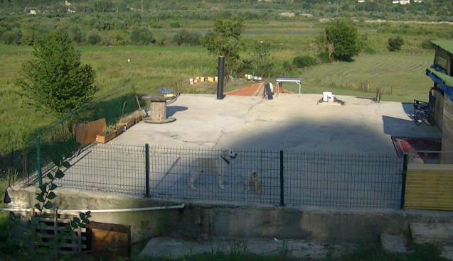 Emekli askerin beylik tabancasıyla vurulması 