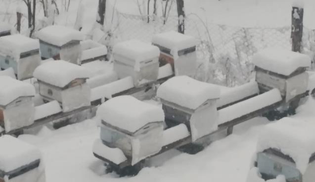 Kar kalınlığı 20 santimetreye ulaştı…