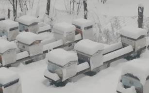 Kar kalınlığı 20 santimetreye ulaştı…