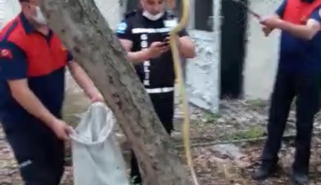 İtfaiye timi hızır gibi.