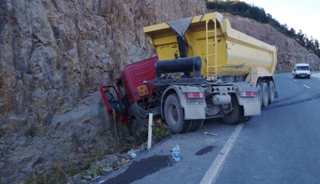 Bir arı faciası daha..