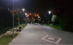 Şehir merkezinde saatlerce ayı aradılar