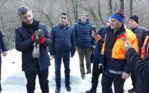 Vali Bektaş Harmankaya Şelalesi’nde…