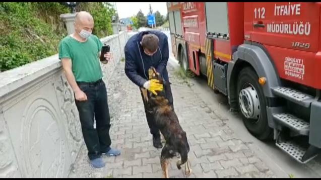 KÖPEK İTFAYE TARAFINDAN KURTARILDI