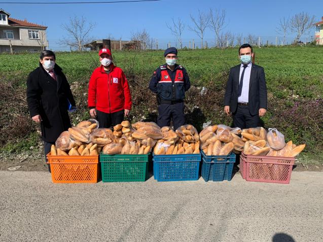Gıda Yardımı