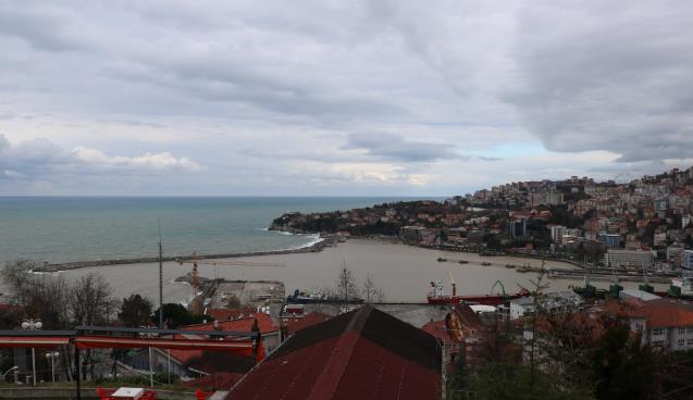 Zonguldak Limanı sarıya boyandı