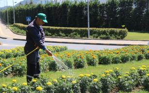 EREĞLİ ÇİÇEK AÇTI