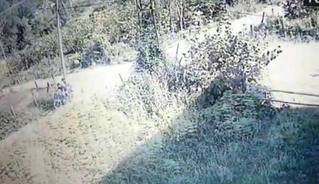  Fındık hırsızları yakalandı 