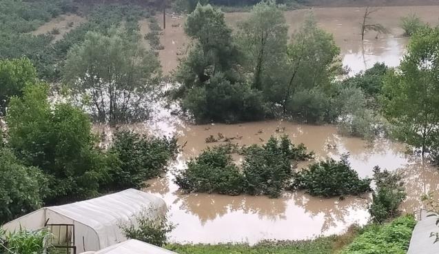 Seralar su altında kaldı...