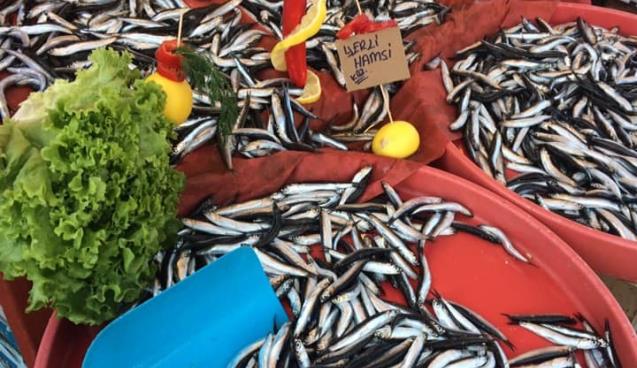 Havalar soğudu hamsi fiyatları tavan yaptı