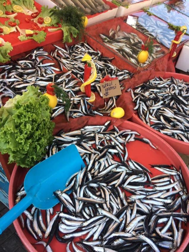 Havalar soğudu hamsi fiyatları tavan yaptı
