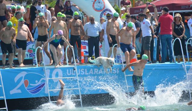 YÜZÜCÜLERLE BİRLİKTE SUYA ATLADI, İLGİ ODAĞI OLDU!