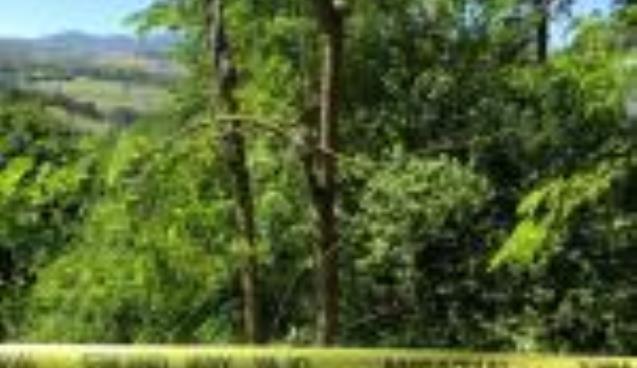 ARAZİ TARTIŞMASI KANLI BİTTİ