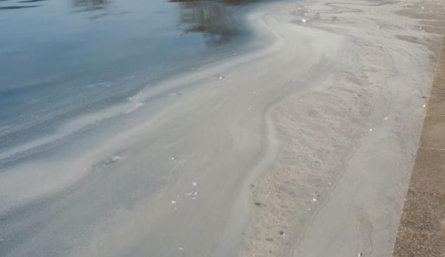 Deniz üzerini beyaz tabaka kapladı