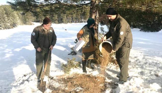 Yaban hayvanlarına yem bırakıldı