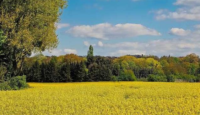 16 Aralık’a kadar uzatıldı