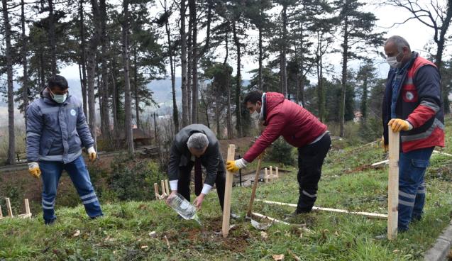 BELEDİYE, KESTANECİ’YE KESTANE FİDANI DİKTİ