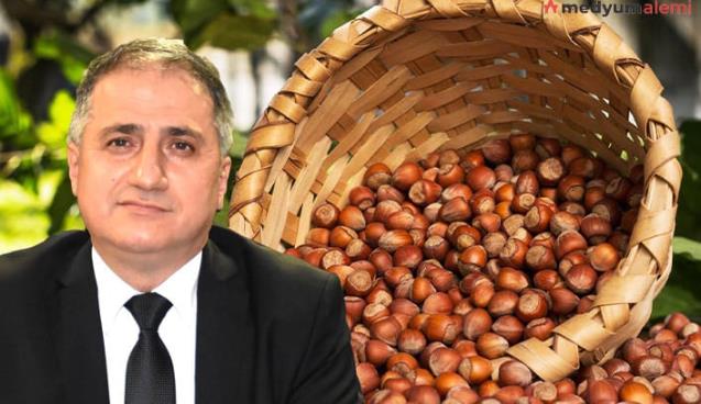 TMO, KDZ. EREĞLİ'DE FINDIK ALIMLARINA BAŞLIYOR