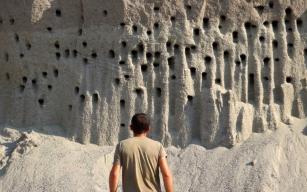 Kuşlar için yeniden taşınacak 