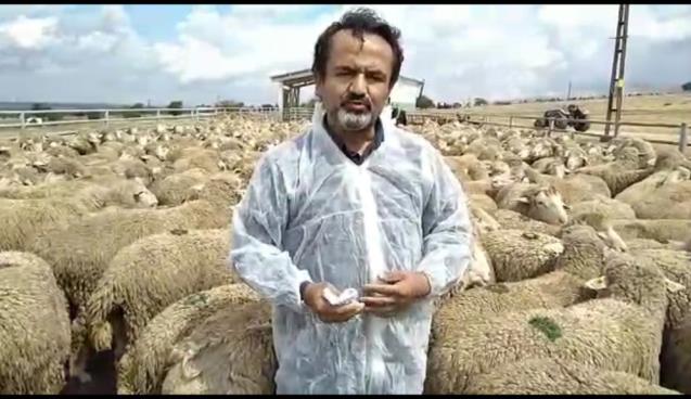 KOYUNCULUK PROJESİ İLE BÜYÜK DESTEK