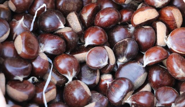 Alan da dertli, satan da..