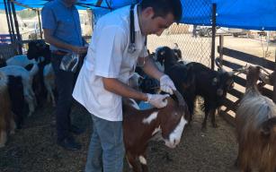 KURBANLIKLAR DENETLENDİ, KESİM KURSU VERİLDİ