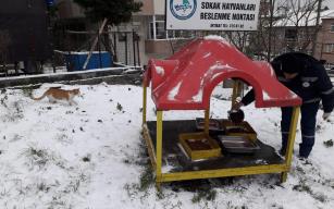 SOKAK HAYVANLARI UNUTULMADI