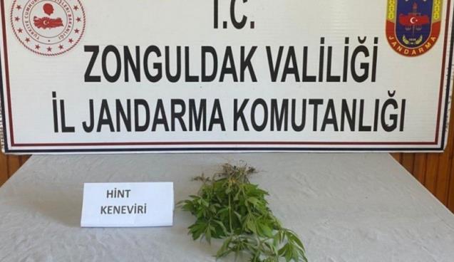 Kenevire Gözaltı.