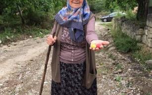  Yolcu minibüsünün çarptığı yaşlı kadının kimliği belli oldu